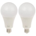 لامپ ال ای دی 20 وات بروکس مدل A80 پایه E27 بسته 2 عددی